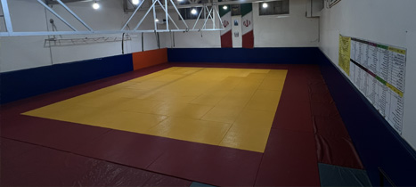 شعبه دهقان ویلا جوجیتسو