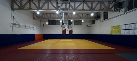 شعبه دهقان ویلا جوجیتسو