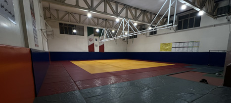 شعبه دهقان ویلا جوجیتسو